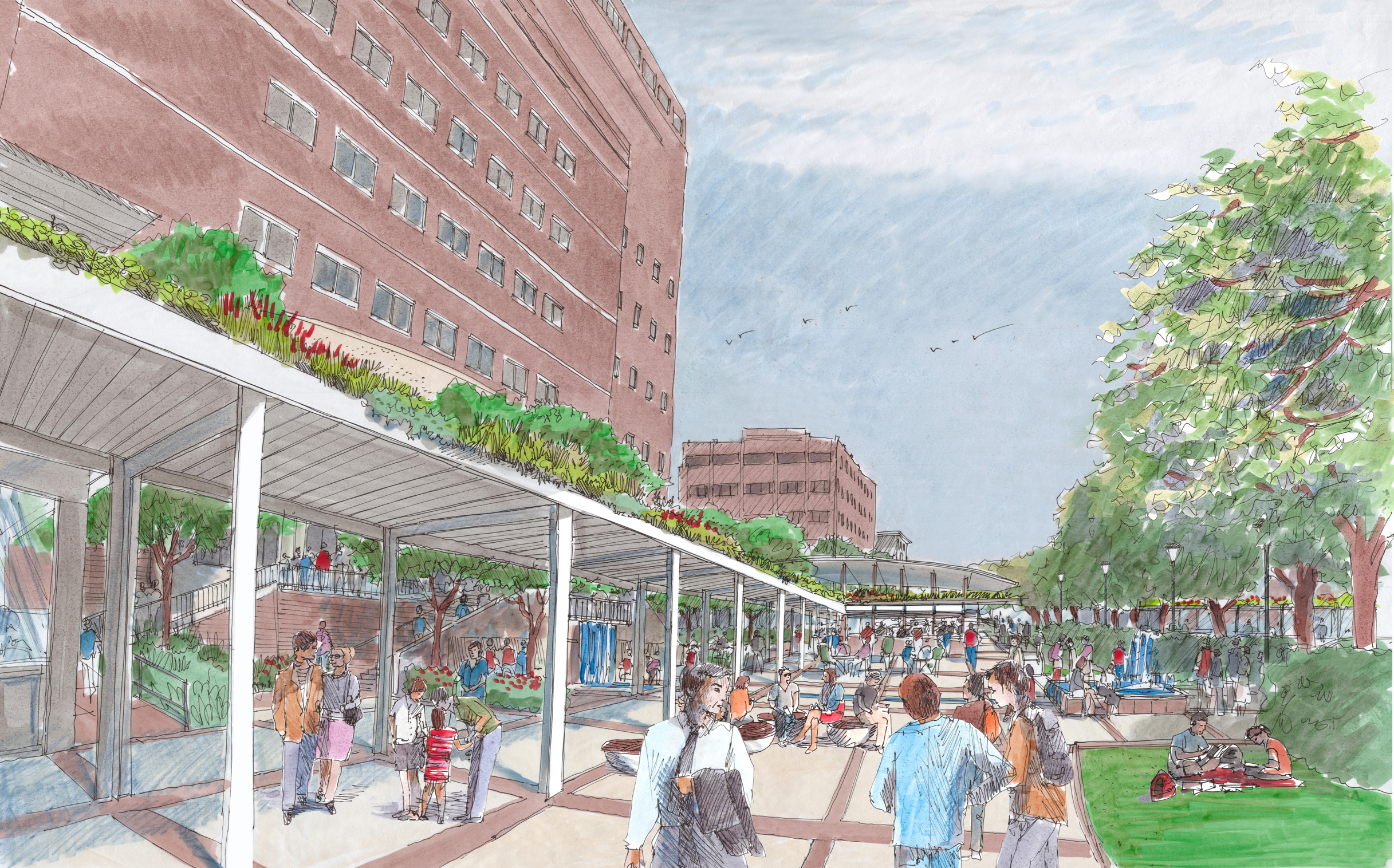 doughty-from-courtenay-color-11x17